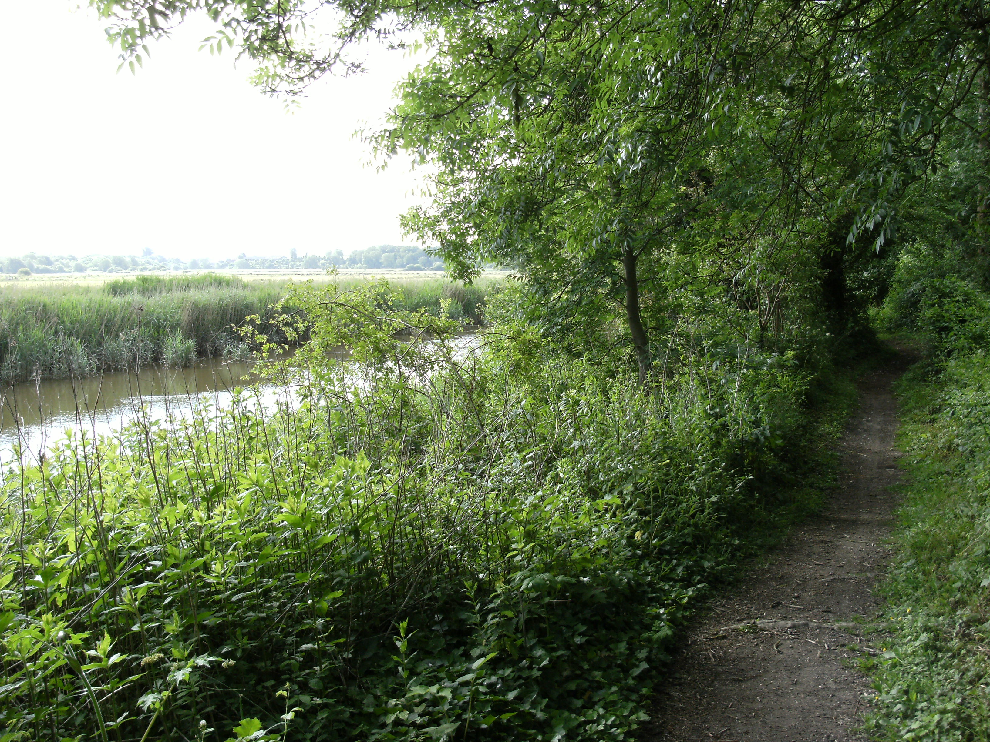 Riverbank trail to Arundel